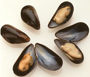 Mediterranean Mussels