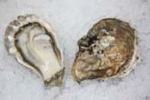 Pickering Passage Oyster